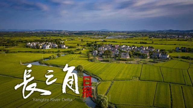 熊猫体育官方网站-【长三角日报】“苏超”第四周赛事，预约购票提前